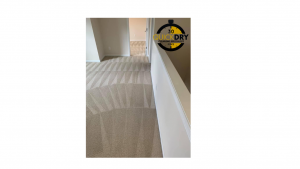 www.quickdrylimited.com north - london - carpet - cleaning - sofa - cleaners - commercial - carpet - cleaning 17